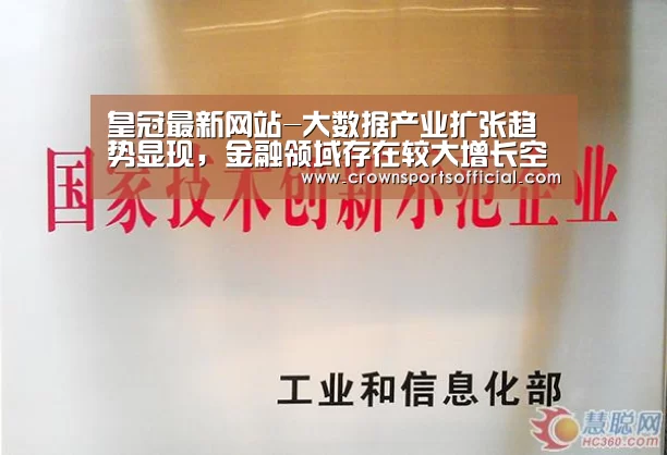 皇冠最新网站-大数据产业扩张趋势显现,金融领域存在较大增长空间(图4) 皇冠最新网站-大数据产业扩张趋势显现,金融领域存在较大增长空间(图4)